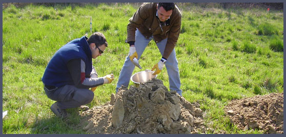 Soil monitoring