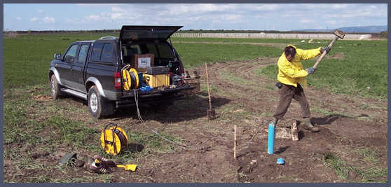 Borehole seismic