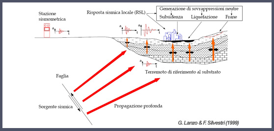 Local seismic response