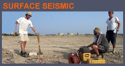 Surface Seismic