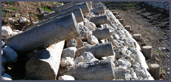 Restore and safety measures